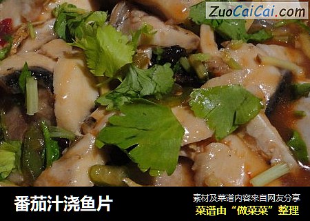番茄汁浇鱼片