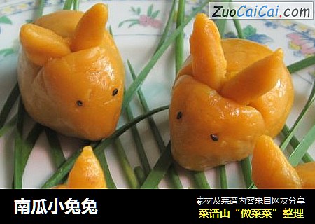南瓜小兔兔