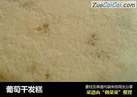 葡萄干发糕