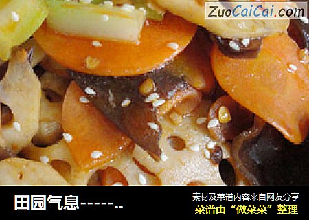田园气息--------荷塘小炒