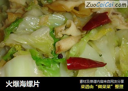 火爆海螺片