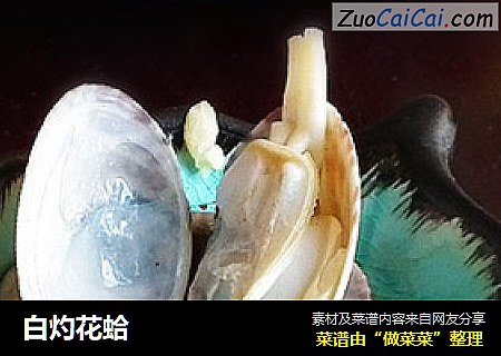 白灼花蛤