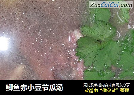 鲫鱼赤小豆节瓜汤