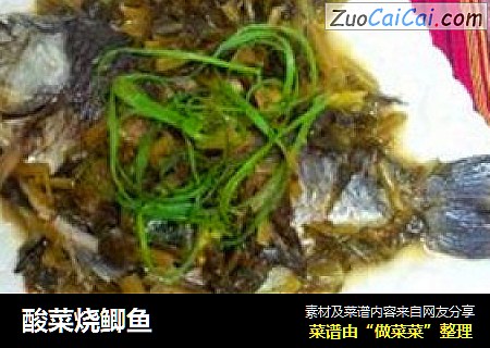 酸菜烧鲫鱼