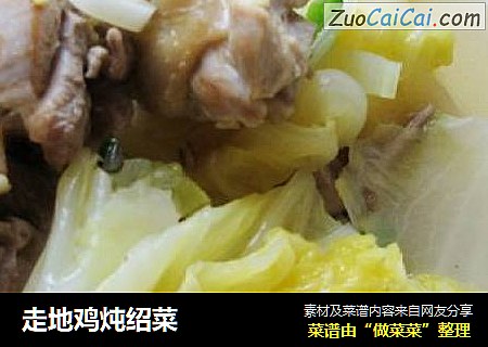 走地鸡炖绍菜