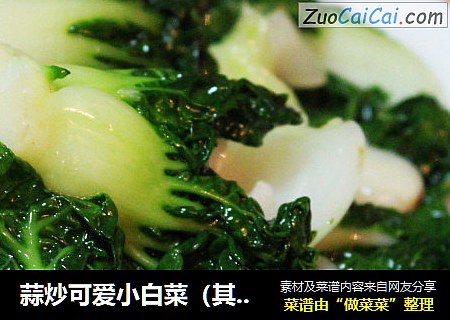 蒜炒可爱小白菜（其实我不知道叫啥这菜）