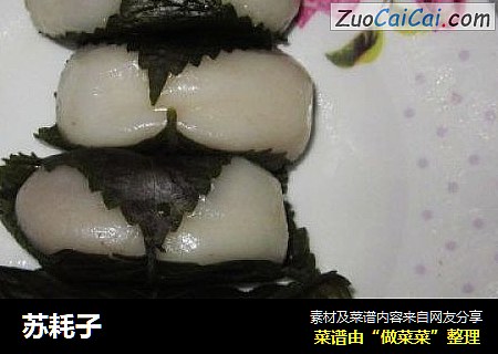 苏耗子