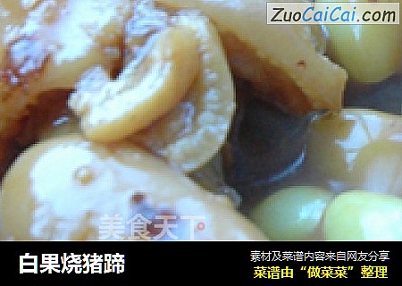 白果烧猪蹄