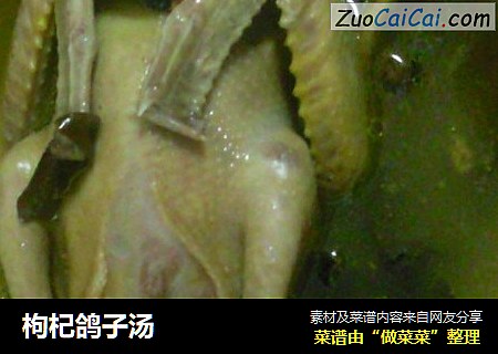 枸杞鸽子汤