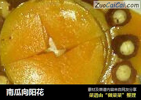 南瓜向阳花