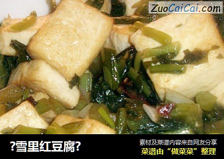 ?雪里红豆腐?