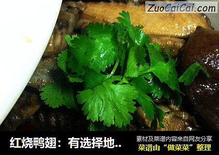 红烧鸭翅：有选择地贴秋膘