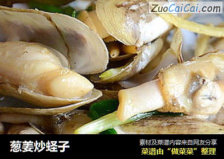 葱姜炒蛏子