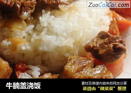 牛腩盖浇饭
