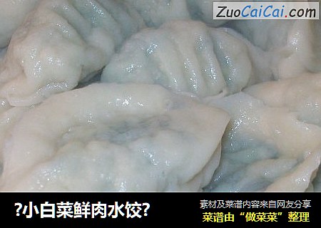 ?小白菜鲜肉水饺?