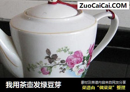 我用茶壶发绿豆芽