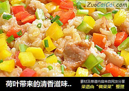 荷叶带来的清香滋味---荷香五彩饭