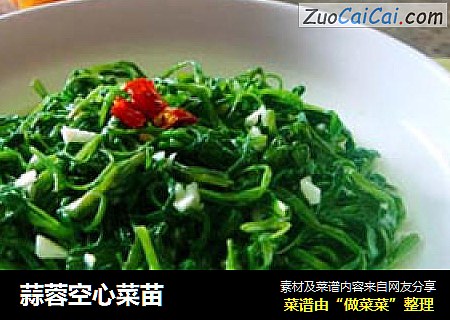 蒜蓉空心菜苗