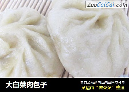 大白菜肉包子