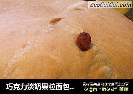 巧克力淡奶果粒面包-面包机版