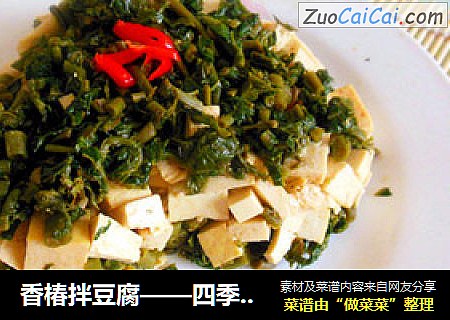香椿拌豆腐——四季情愫之“椿之爱”