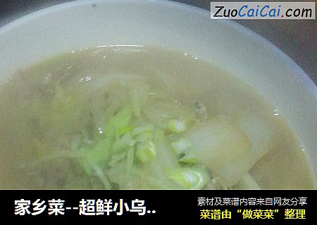 家乡菜--超鲜小乌鱼+海蛎子肉炖白菜粉条