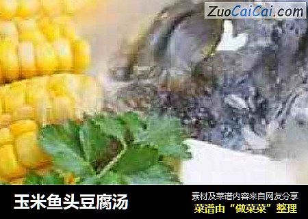 玉米鱼头豆腐汤