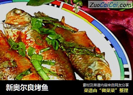 新奥尔良烤鱼