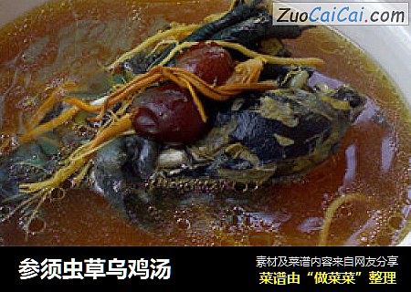 参须虫草乌鸡汤