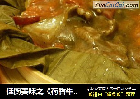 佳厨美味之《荷香牛肉饭》