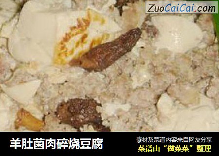 羊肚菌肉碎烧豆腐
