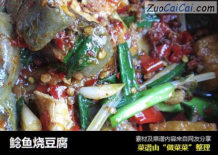 鲶鱼烧豆腐