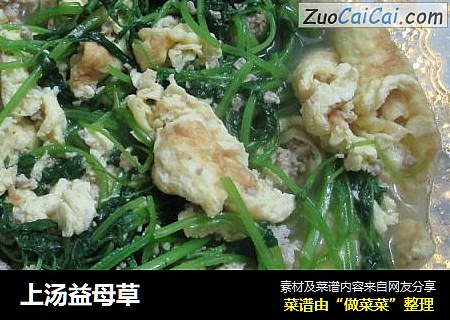 上汤益母草
