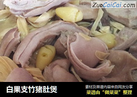白果支竹猪肚煲