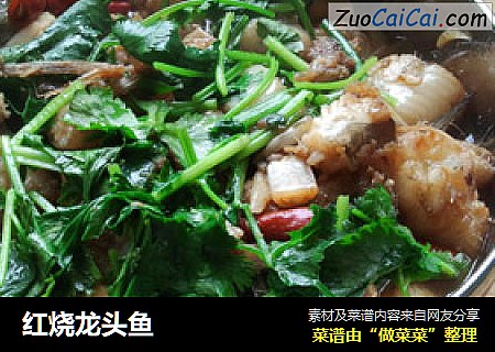 红烧龙头鱼