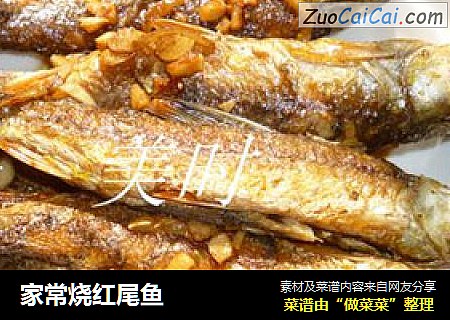 家常烧红尾鱼