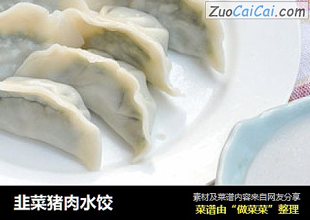 韭菜猪肉水饺