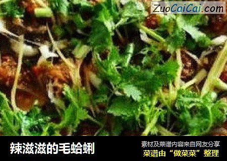 辣滋滋的毛蛤蜊