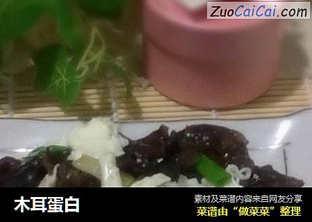 木耳蛋白