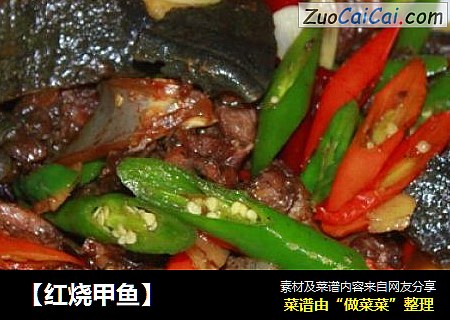 【红烧甲鱼】