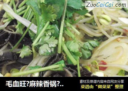 毛血旺?麻辣香锅?麻辣烫?大锅菜?我都不知道是啥了 大家评评理呀