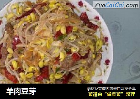 羊肉豆芽