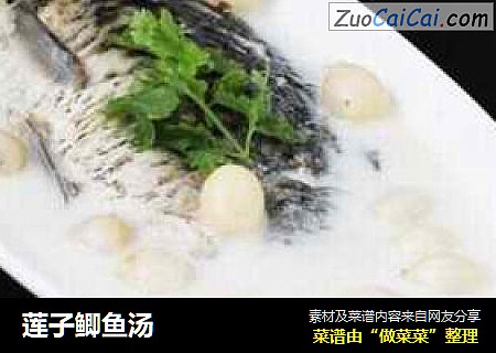 莲子鲫鱼汤
