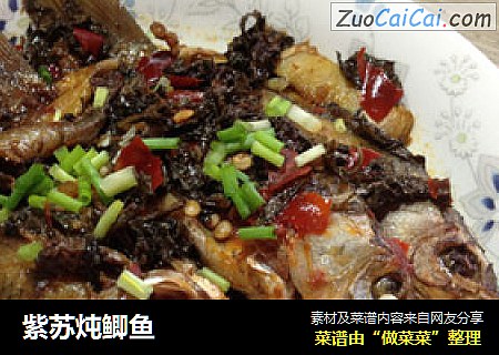 紫苏炖鲫鱼