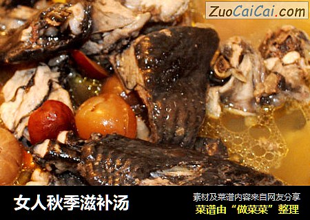女人秋季滋补汤