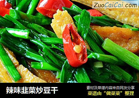 辣味韭菜炒豆干