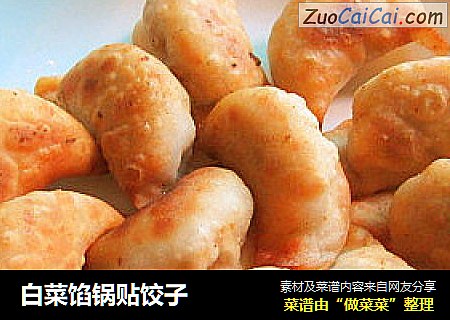 白菜馅锅贴饺子