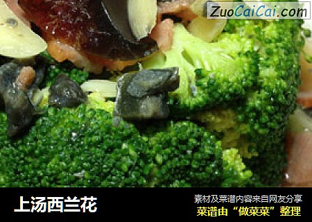 上汤西兰花