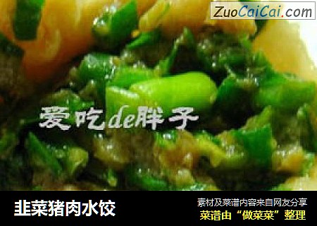 韭菜猪肉水饺