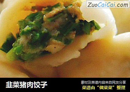 韭菜猪肉饺子